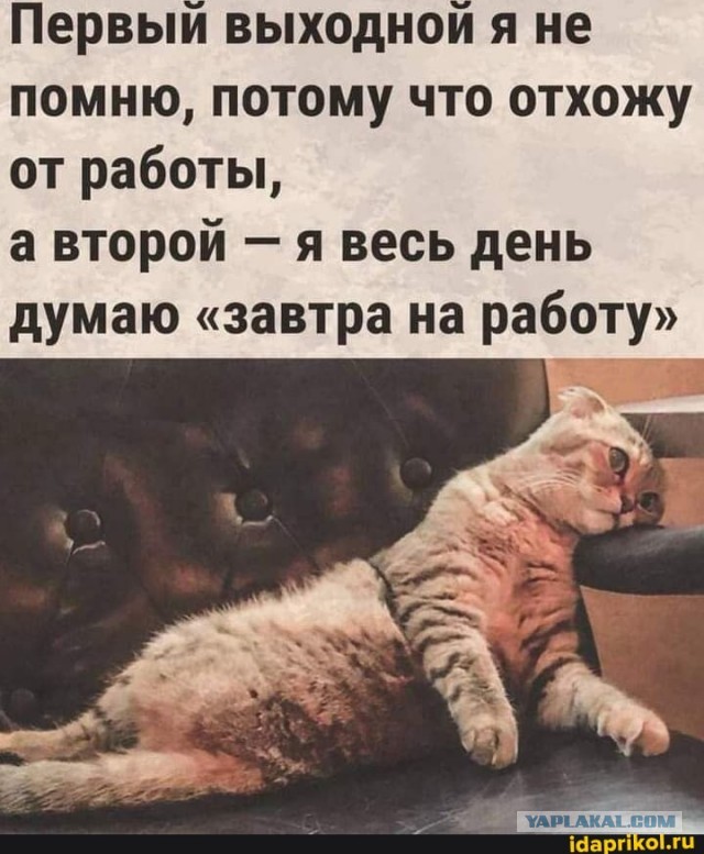 Небаянистая деградация 11