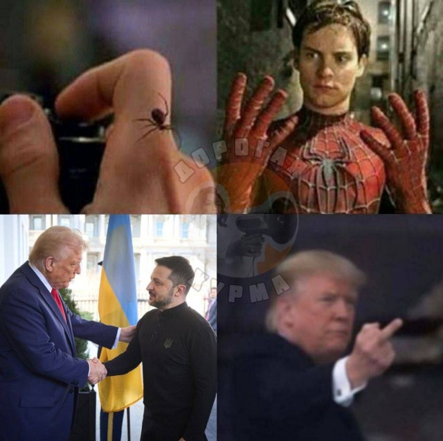Беснует Донни