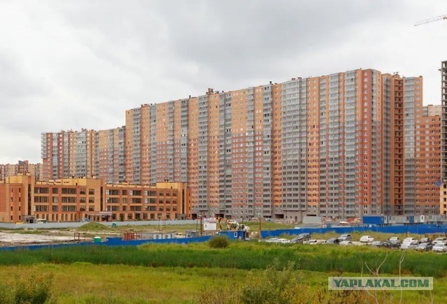 Понедельника картинки
