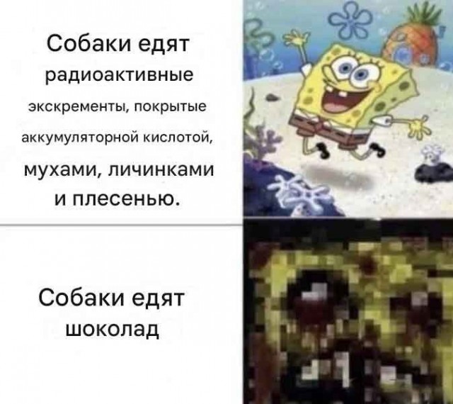 Всякой Хни вам в ленту, дорогие деграданты