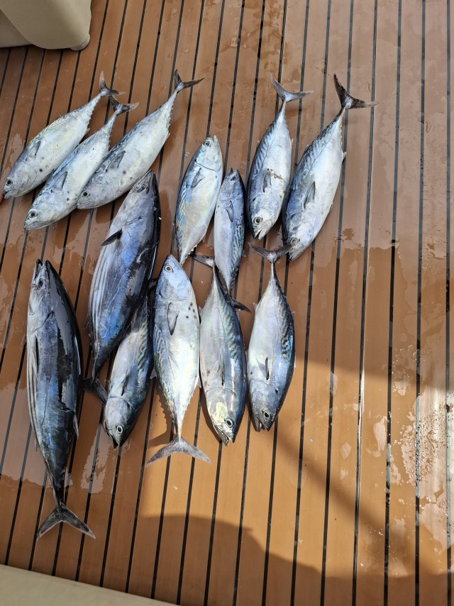 Рыбалка на Кабо Верде на марлина