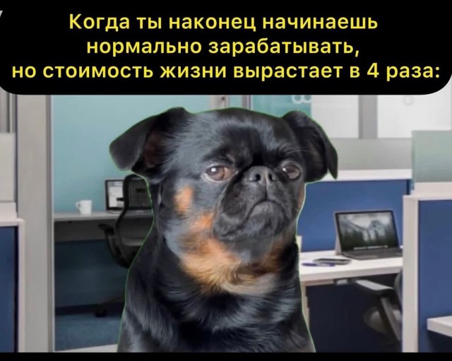 Картинки для деградации 209 (разной степени свежести)