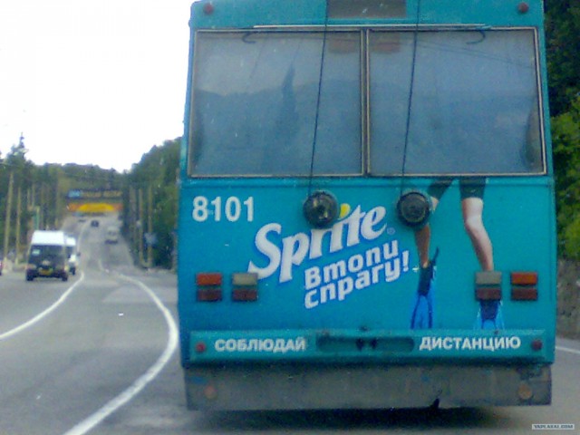 Смешные картинки, снятые на мобильник