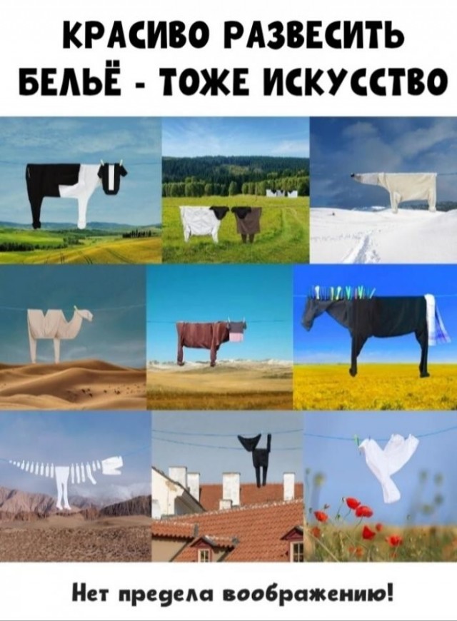 Картинки на среду