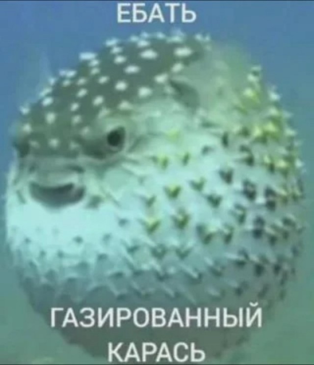 Россиянин голыми руками погладил одну из самых ядовитых рыб в мире