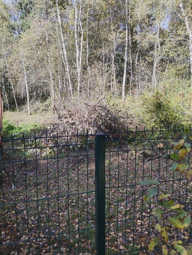 Перевод с женского⁠⁠