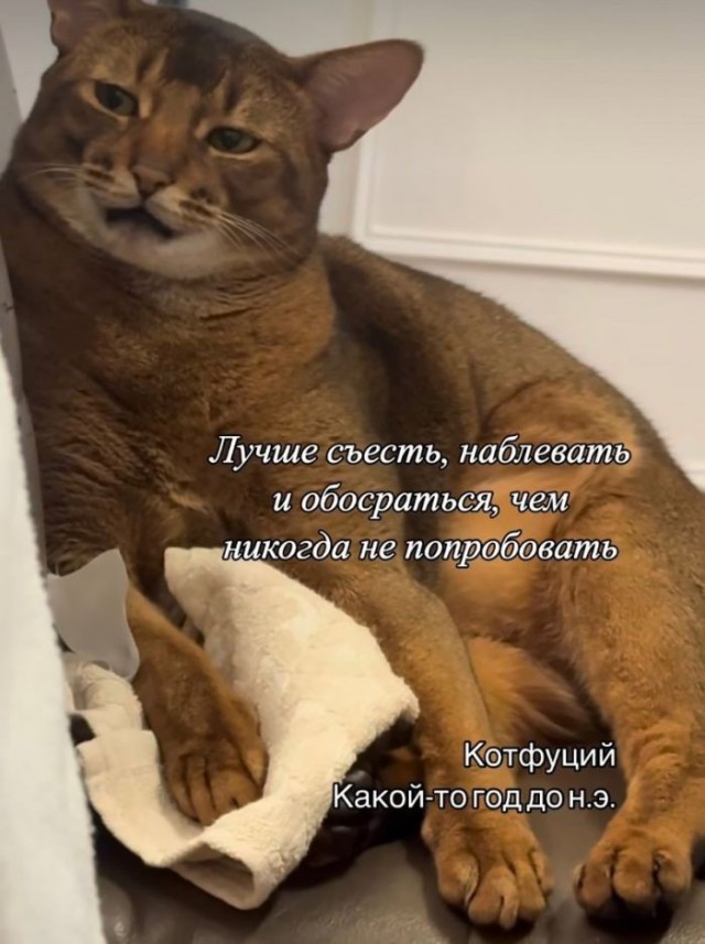 Картинки для деградации 282 (разной степени свежести)