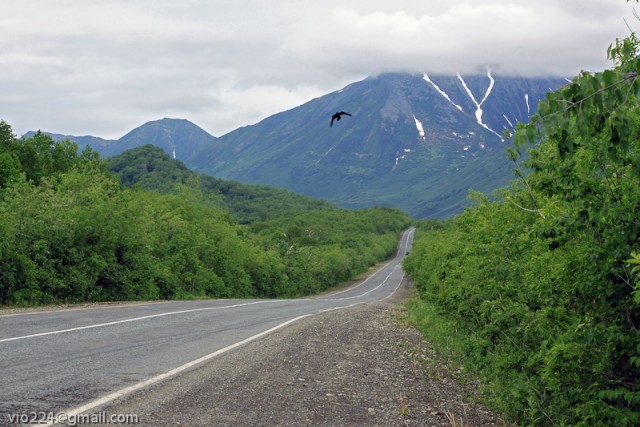 Моя Камчатка