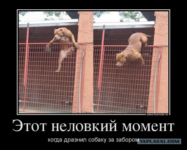 Билет в один конец