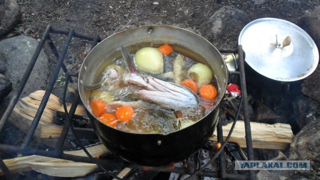 Вуокса 2014