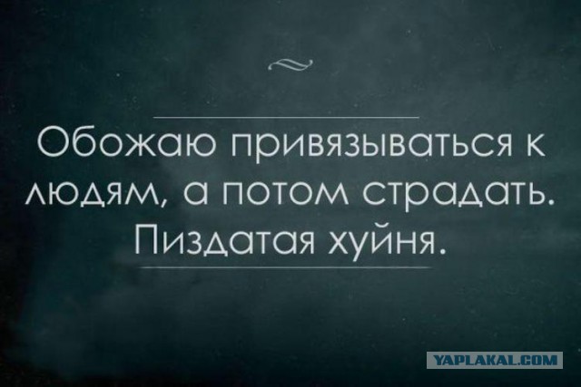 Подборка картинок