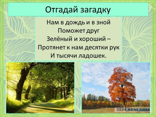 Кому юки отсыпать?