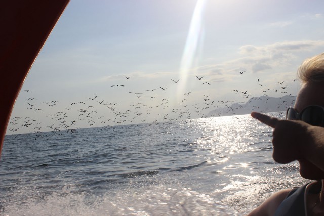 Отчёт о поездке в Крым 12.07 - 29.07