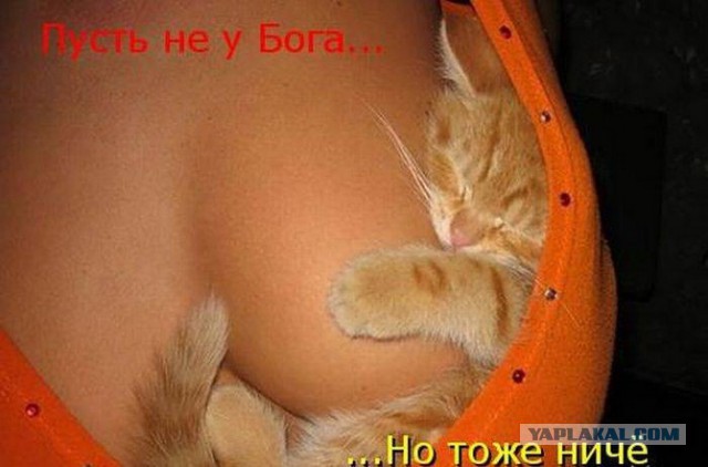 Добряки, плюсующие всех подряд