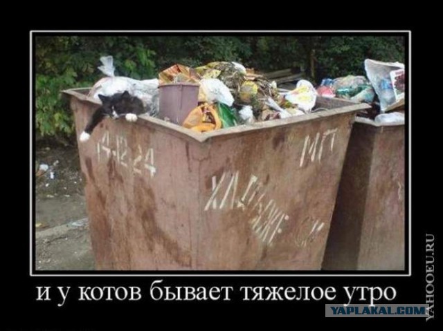 Картинки из сети на вторую часть пятницы