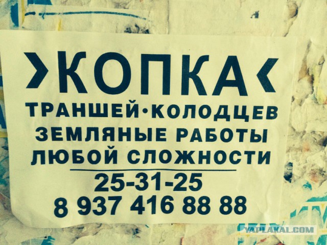 Картинки 12.05.2015