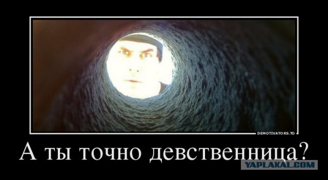 Подборка картинок из соцсетей