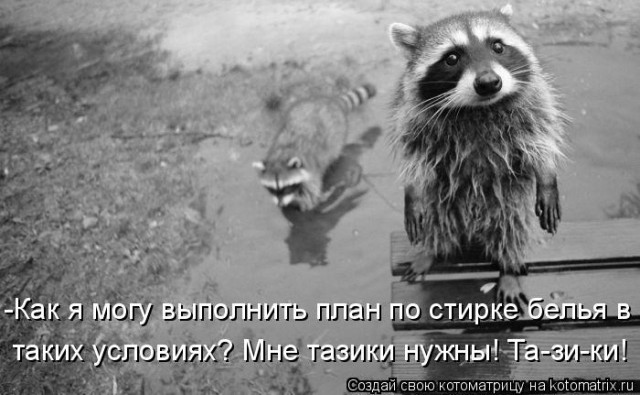 Если стало грустно - купи себе пакет енотов
