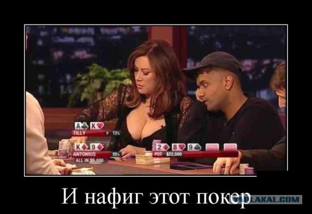 Подборка веселых картинок