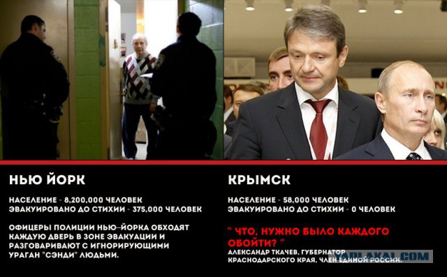 Из жизни долболобов