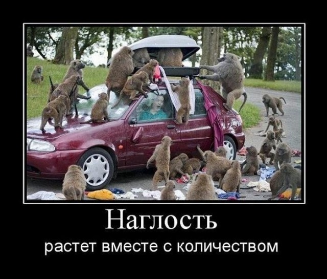 Абсурдный юмор ч.3