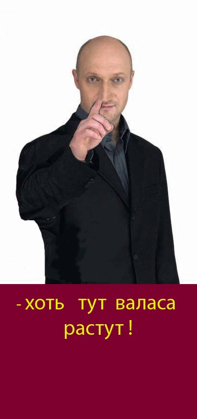 Фотожаба: Гоша Куценко