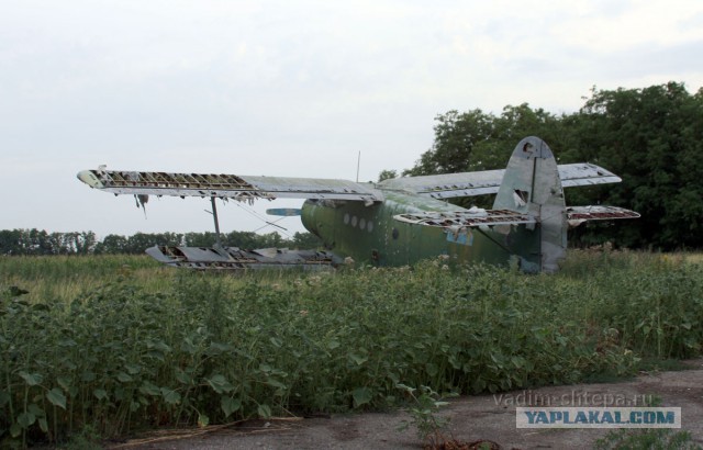 Ан-2: биплан, который умеет летать хвостом вперед