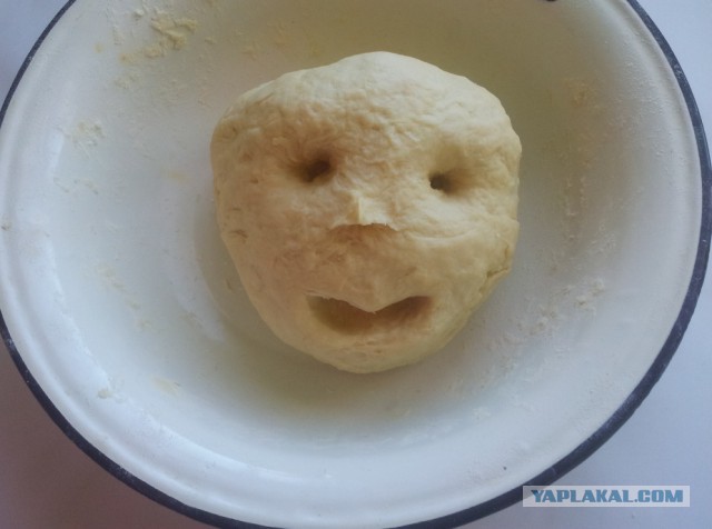 Фастфуд-пикник на день рождения ЯПа