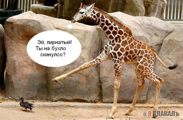 Эй, ты! А ну вон отсюда!