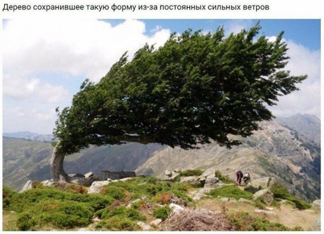 Набористый набор картинок