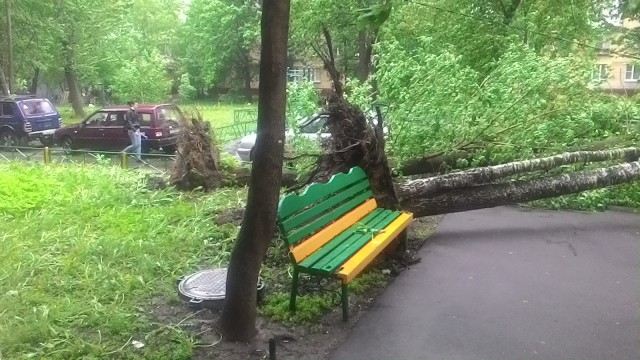 В Москве ураган!