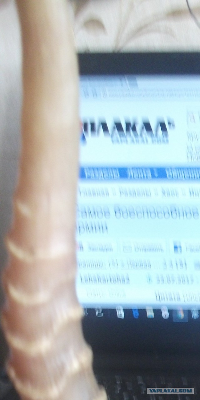 Самое боеспособное соединение монгольской армии