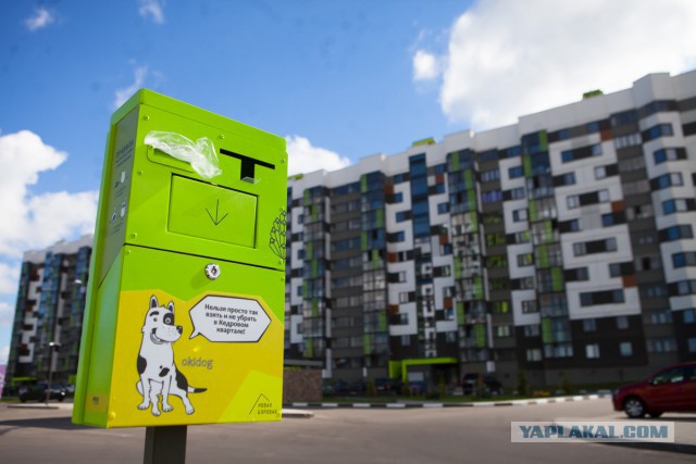 Практическое руководство по уборке за домашними собаками в уличных условиях.