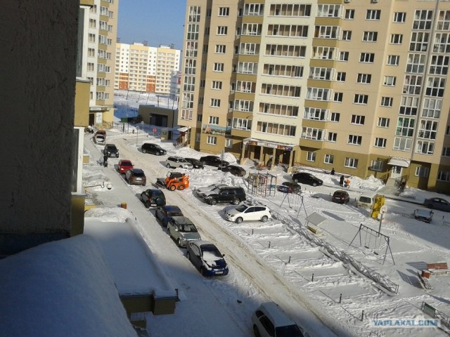Мой двор