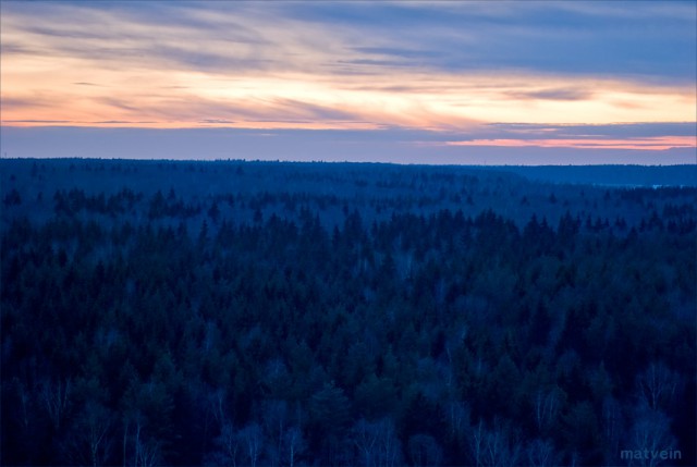 Вечером в тайге