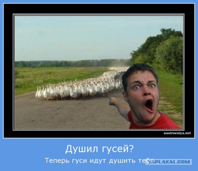 Ваши сотрудники заставляют подавать заведомо подложные документы.