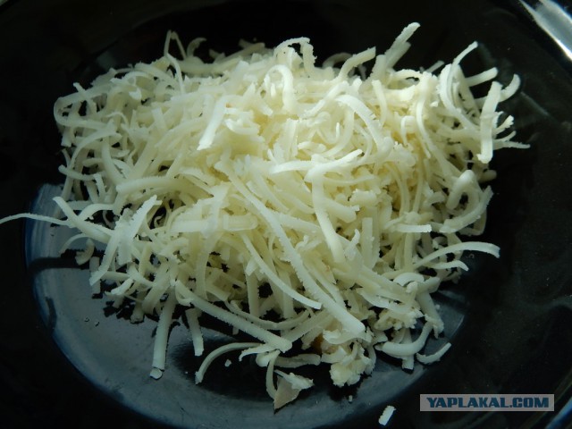Конопля с грибами