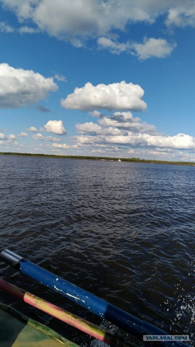 Соскучился по рыбалке