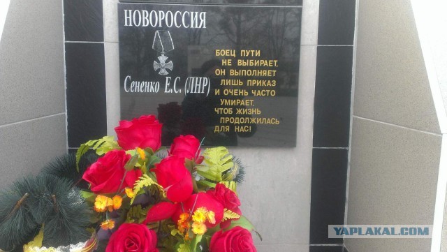 Казак удачи Егор: "В Сирии будто за тобой собаки гонятся, а мама в станице котлеты жарит"