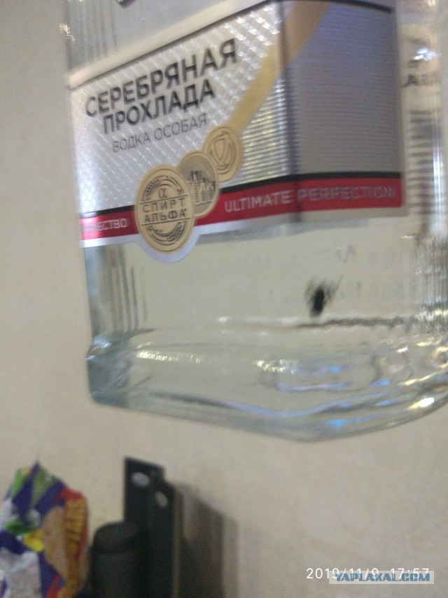 Первый снег с норвежским колдырём (apetor)