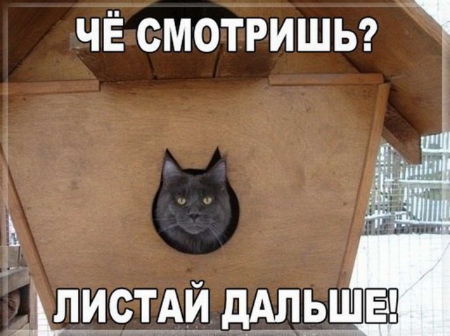 Древние мемы с ВК. Для тех кто забыл #5