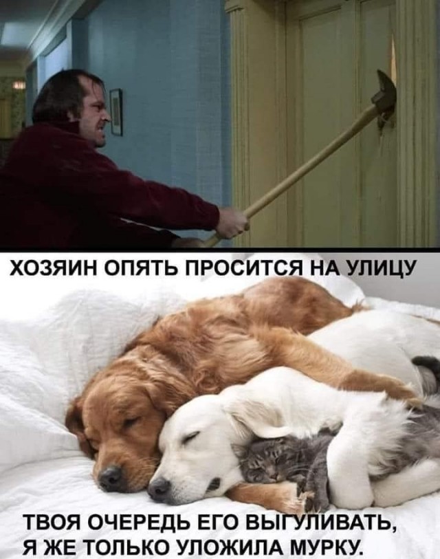 Бредзона 15.04.2020