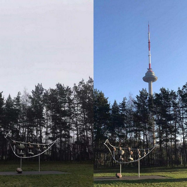 Картиночная солянка 21.04.20