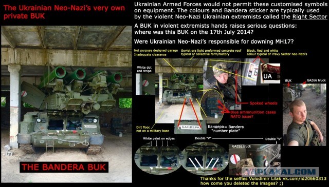 Адвокат допустил наличие у НАТО спутниковых данных с места крушения MH17