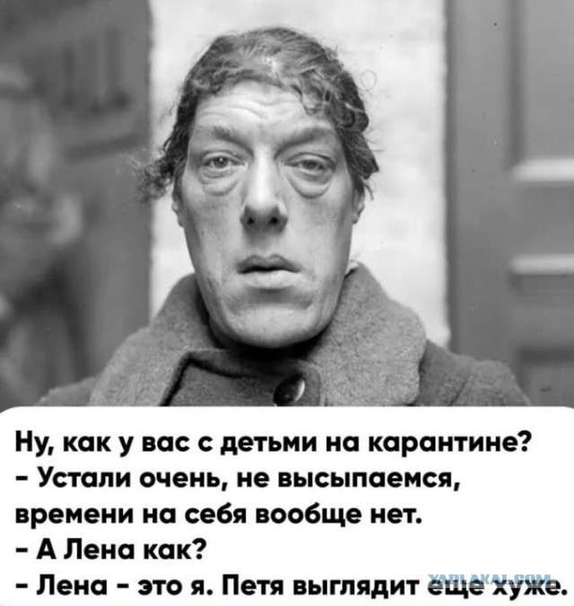 Немного картинок