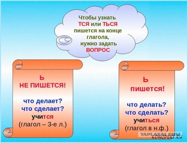 Голландский папа вправил мозги дочке, которая наслушалась Греты Тунберг