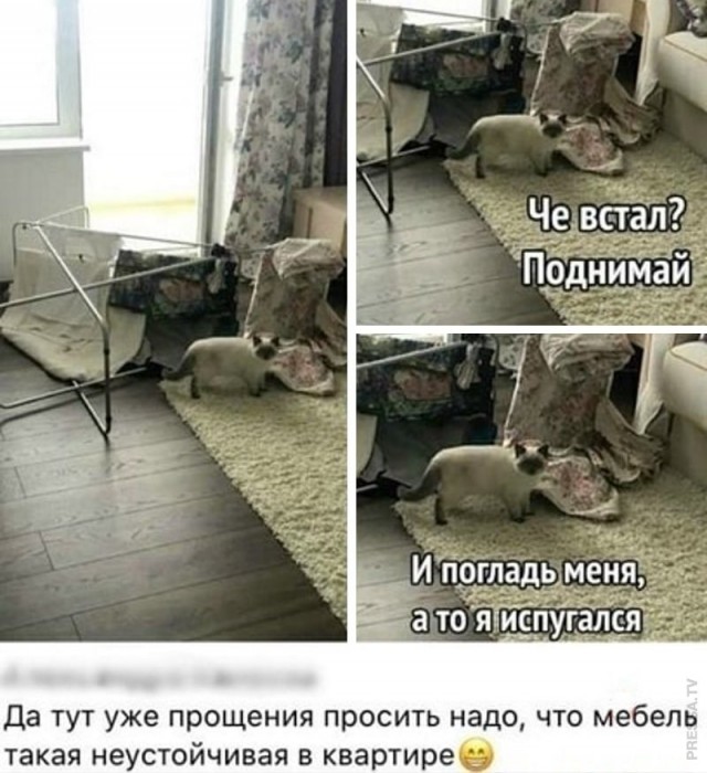 Картинки и мемы для настроения 008