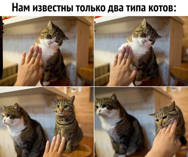 Так себе картинки 01.04.21
