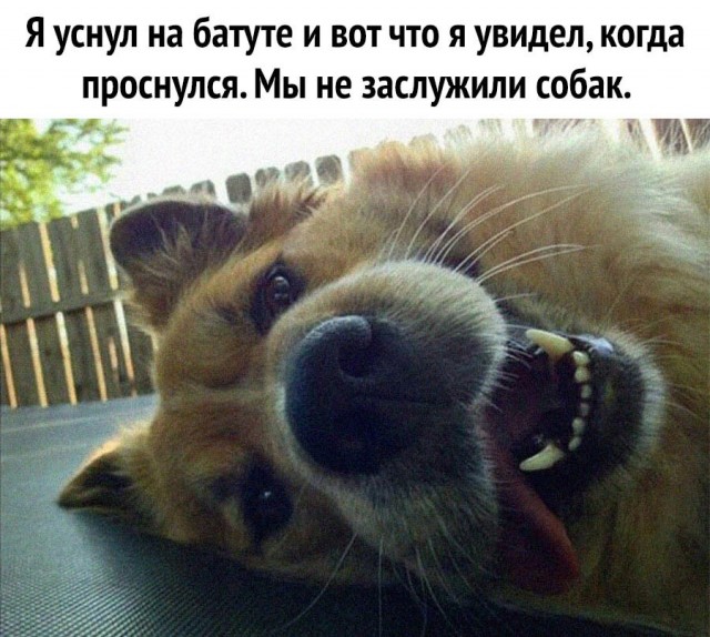 Так себе картинки 07.06.21