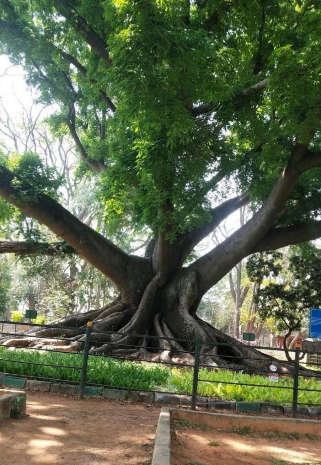 Картинки и мемы для настроения 05.08.2021